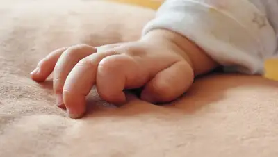 Pixabay, фото - Новости Zakon.kz от 12.10.2019 13:18