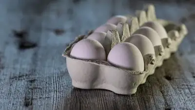 pixabay, фото - Новости Zakon.kz от 21.02.2019 06:32