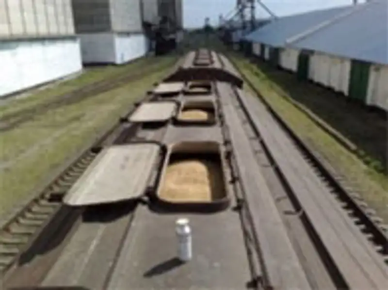 КТЖ отправит за пределы Казахстана 1 млн тонн зерна , фото - Новости Zakon.kz от 28.12.2011 18:23