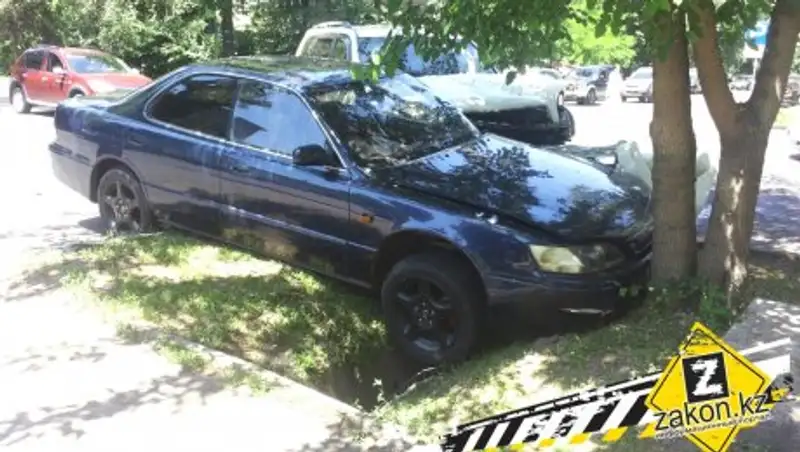 В Алматы проехавший на "красный" водитель Toyota Windom попал в ДТП и угодил в дерево 