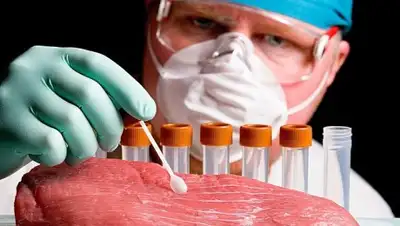 Zakon.kz, фото - Новости Zakon.kz от 05.07.2017 15:17