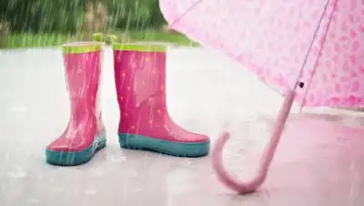 pixabay.com, фото - Новости Zakon.kz от 05.05.2021 15:39