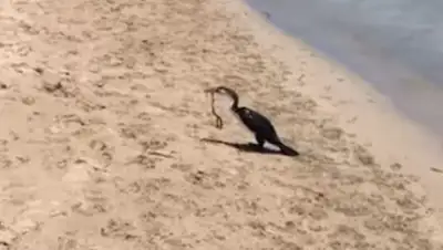 Zakon.kz, фото - Новости Zakon.kz от 17.01.2018 11:07