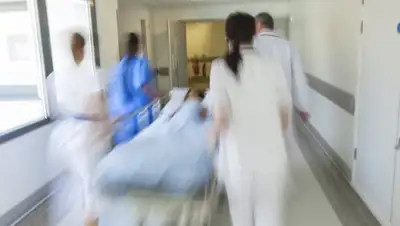 Zakon.kz, фото - Новости Zakon.kz от 04.04.2016 18:00