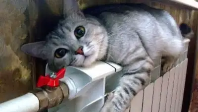 Gorlovka.Today, фото - Новости Zakon.kz от 12.04.2018 14:51