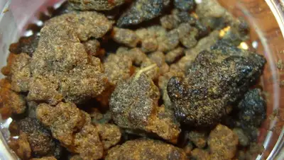 Info-Farm.RU, фото - Новости Zakon.kz от 22.04.2019 17:02