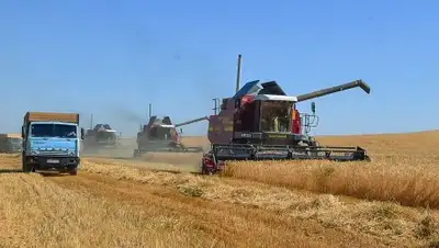 Zakon.kz, фото - Новости Zakon.kz от 30.06.2017 15:39