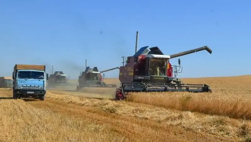 В ЮКО началась уборка урожая