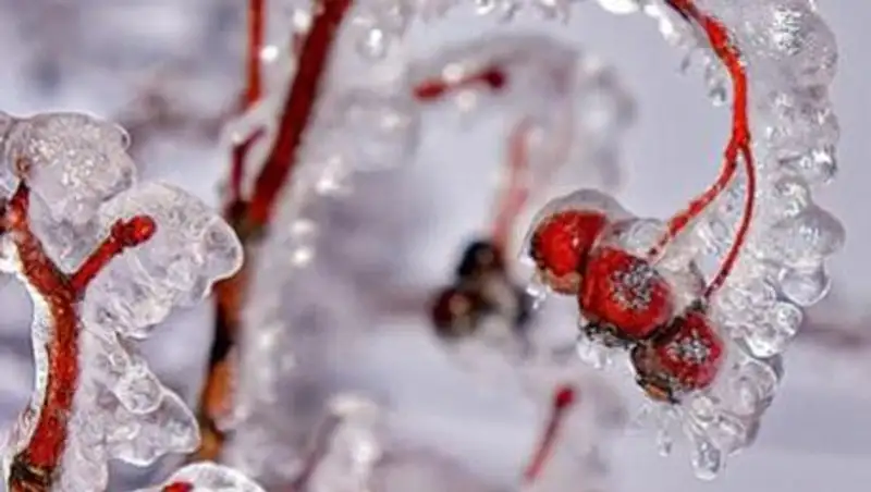 В ЗКО ожидается резкое понижение температуры