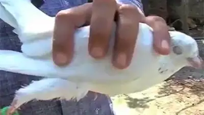 Zakon.kz, фото - Новости Zakon.kz от 30.05.2015 00:03