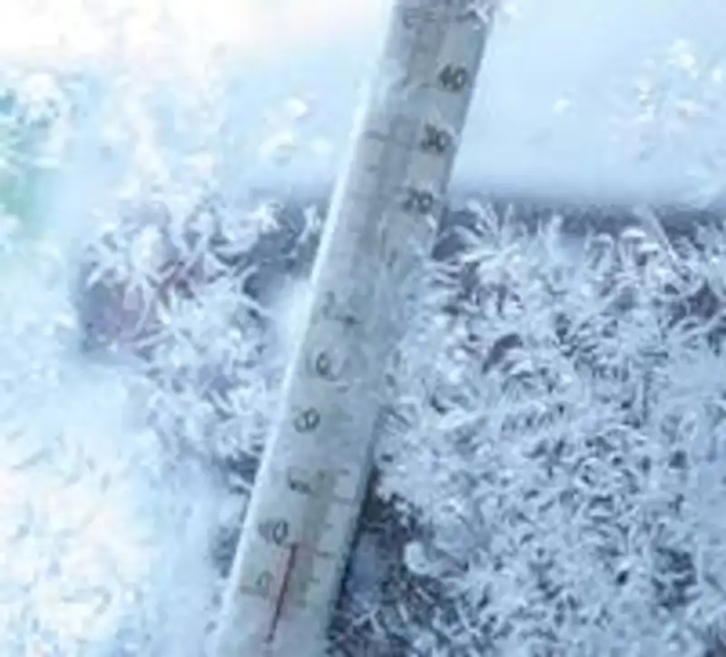 Северные, восточные и центральные регионы Казахстана во власти сильнейших морозов