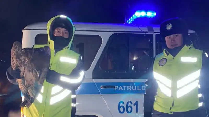 Павлодарские полицейские спасли краснокнижного орлана