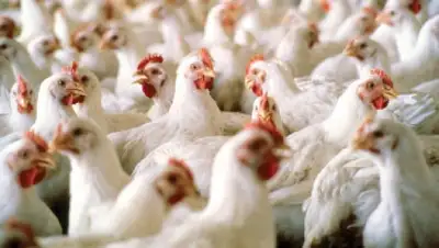 Zakon.kz, фото - Новости Zakon.kz от 27.03.2015 23:20