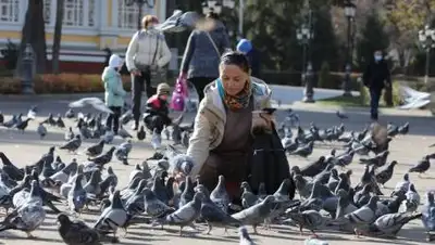 zakon.kz/Павел Михеев, фото - Новости Zakon.kz от 29.09.2021 10:37