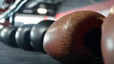 Pixabay, фото - Новости Zakon.kz от 13.07.2020 01:21