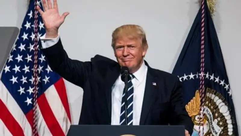 Защитить НАТО от Трампа предложил сенатор Маккейн