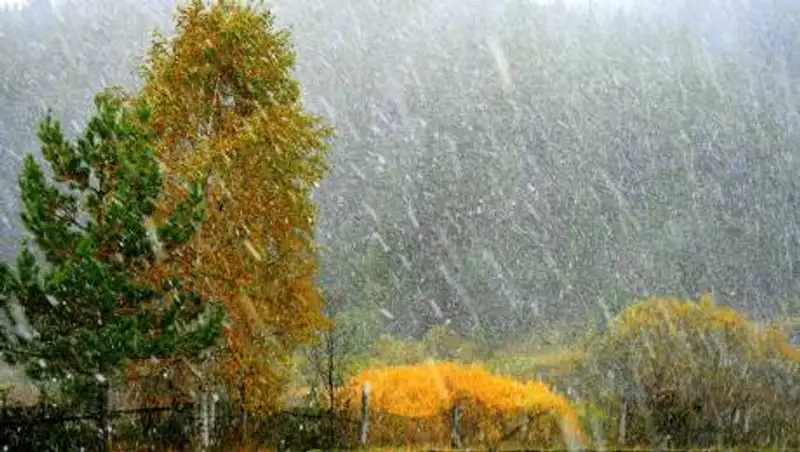 Сильные осадки в виде дождя и снега ожидаются в Казахстане