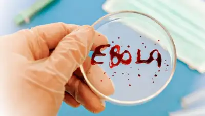 Zakon.kz, фото - Новости Zakon.kz от 10.01.2015 20:10