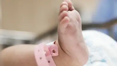 Pixabay/rawpixel, фото - Новости Zakon.kz от 06.01.2019 01:46