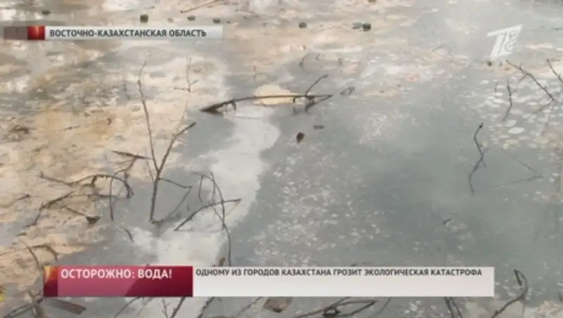 Специалисты не сомневаются, что масло на окраине Усть-Каменогорска опасно для здоровья