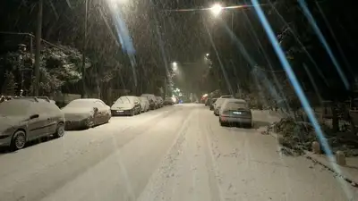 метель, зима, штормовое, фото - Новости Zakon.kz от 03.01.2023 21:31