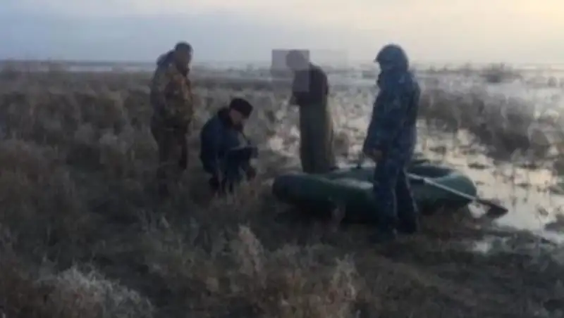 Жыл басынан бері 15 экологиялық қылмыс ашылды