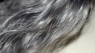 седые волосы, фото - Новости Zakon.kz от 20.04.2023 17:07