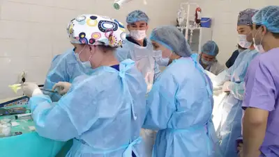 пресс-служба Упрздрава Алматы, фото - Новости Zakon.kz от 08.02.2020 14:03