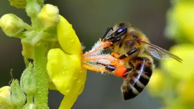 Zakon.kz, фото - Новости Zakon.kz от 17.11.2017 09:21