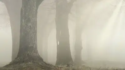 штормовое предупреждение, фото - Новости Zakon.kz от 28.03.2023 20:04