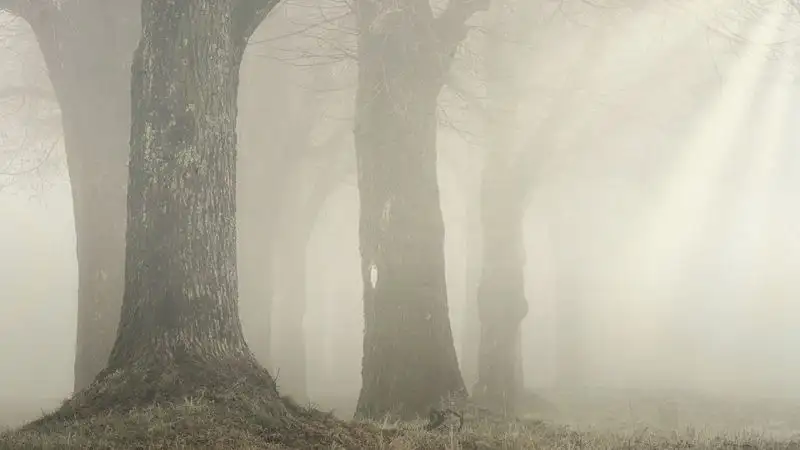 Туман и сильный ветер ожидаются в Астане и шести областях Казахстана в среду