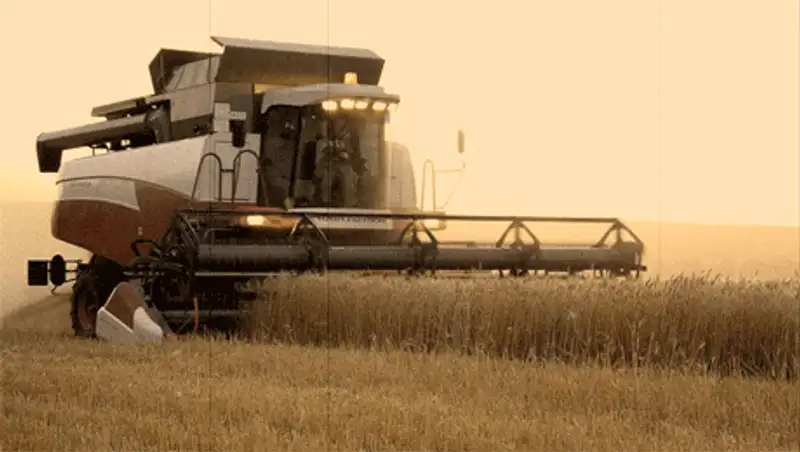 Свыше 94% площадей зерновых скошено в Акмолинской области, фото - Новости Zakon.kz от 26.10.2013 02:32
