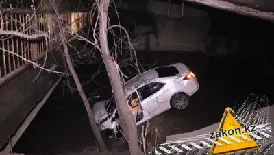 Zakon.kz, фото - Новости Zakon.kz от 07.04.2017 05:58