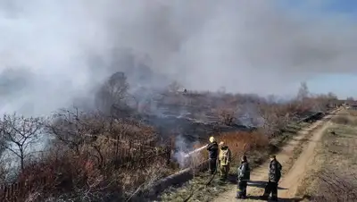 дачи, фото - Новости Zakon.kz от 16.04.2022 21:33