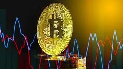 В России майнеров решили обложить налогом, фото - Новости Zakon.kz от 26.01.2023 02:35