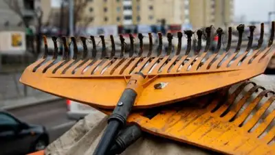 Zakon.kz, фото - Новости Zakon.kz от 07.09.2017 16:47