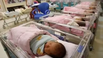 Zakon.kz, фото - Новости Zakon.kz от 11.10.2017 17:23