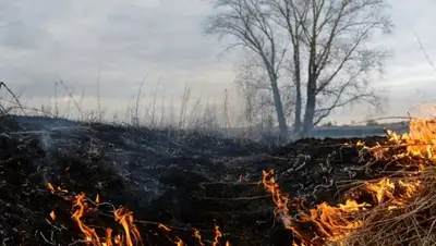 Zakon.kz, фото - Новости Zakon.kz от 17.08.2015 17:25