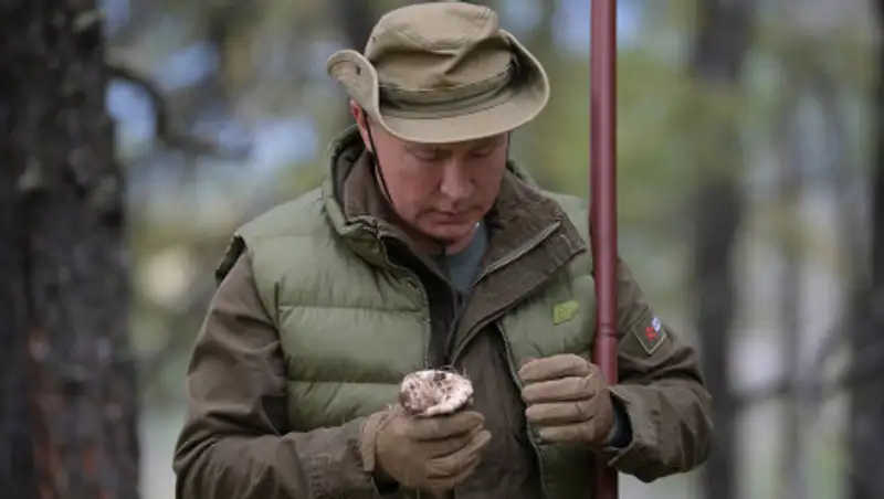 По грибы, по ягоды: Раскрыто политическое значение "тихой охоты" Путина и Шойгу