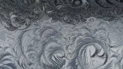 pixabay, фото - Новости Zakon.kz от 29.01.2019 07:04