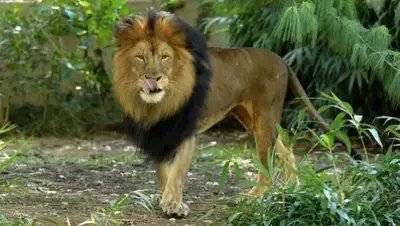 Zakon.kz, фото - Новости Zakon.kz от 09.12.2014 16:51