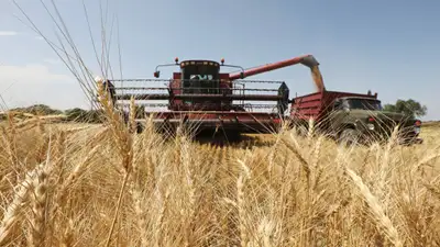 Zakon.kz/Павел Михеев, фото - Новости Zakon.kz от 17.11.2021 16:41