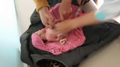 Zakon.kz, фото - Новости Zakon.kz от 18.05.2016 21:57