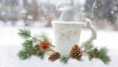 pixabay.com, фото - Новости Zakon.kz от 27.11.2020 10:59