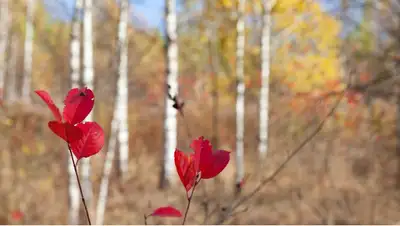 Какой будет погода в Казахстане 10 сентября , фото - Новости Zakon.kz от 09.09.2022 17:20