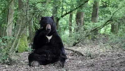 Zakon.kz, фото - Новости Zakon.kz от 07.07.2016 16:50