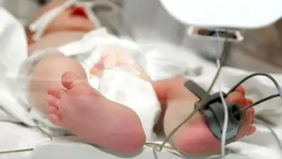 Zakon.kz, фото - Новости Zakon.kz от 16.10.2017 16:15