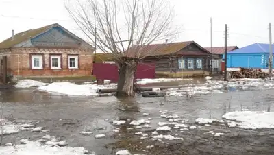 Zakon.kz, фото - Новости Zakon.kz от 30.03.2016 18:27