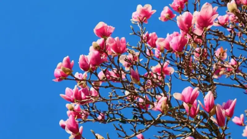 Какая погода ожидает казахстанцев в ближайшие полгода