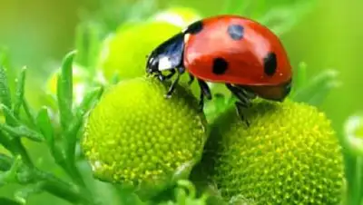 Zakon.kz, фото - Новости Zakon.kz от 01.06.2015 19:48